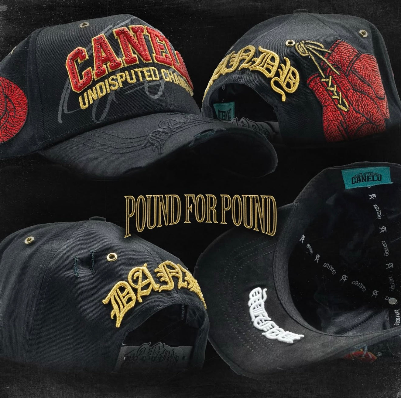 DANDY X CANELO #4#